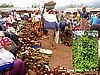 Yams in Guzang, Cameroon (Photo: Njei M.T)